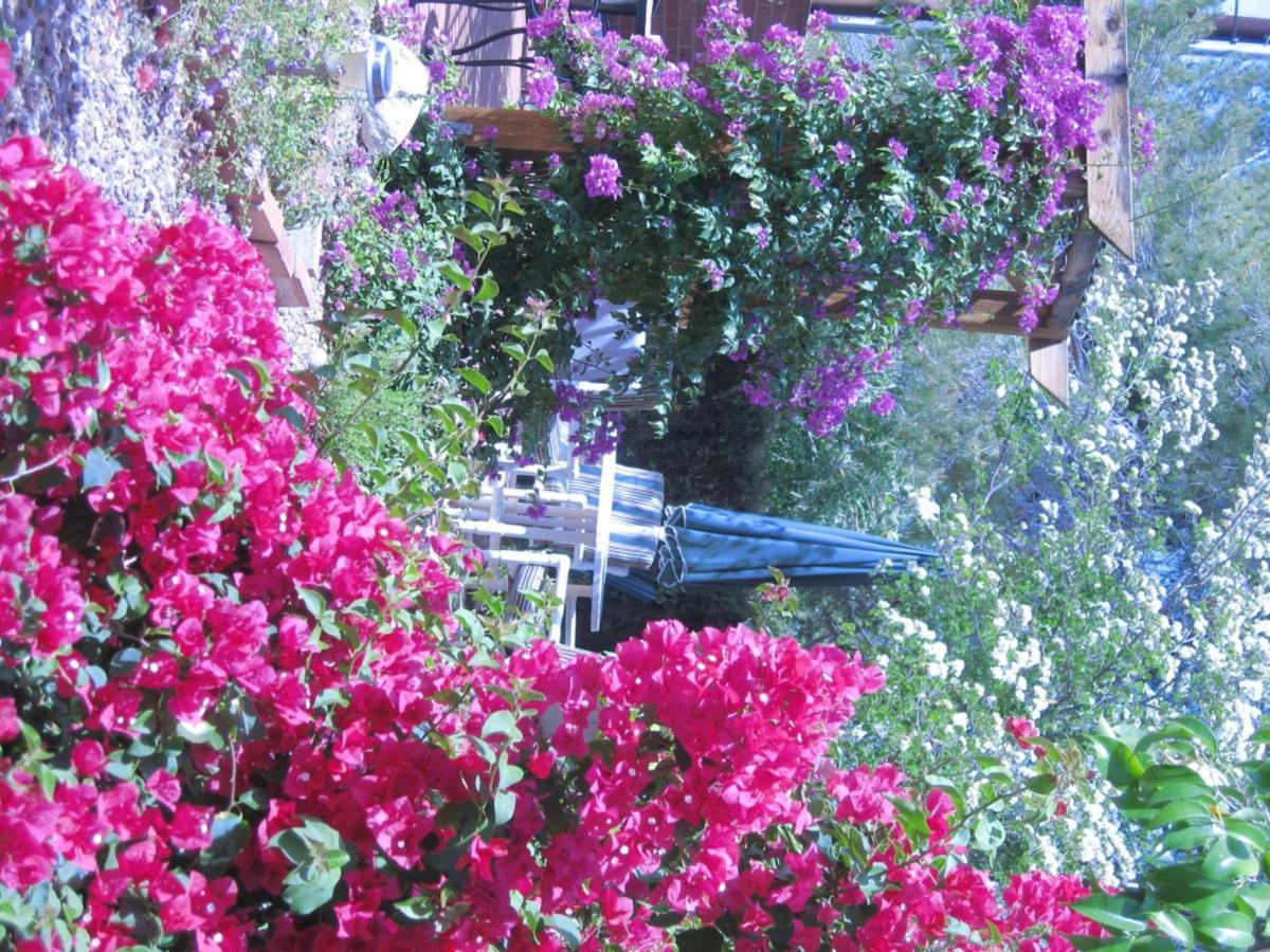 Mon Ami Bed And Breakfast Tucson Esterno foto